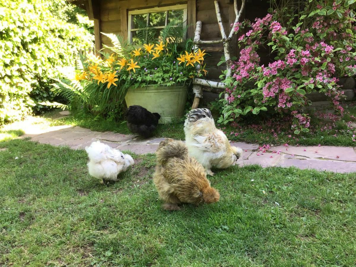 Appartamento le mignon Illingen  Esterno foto